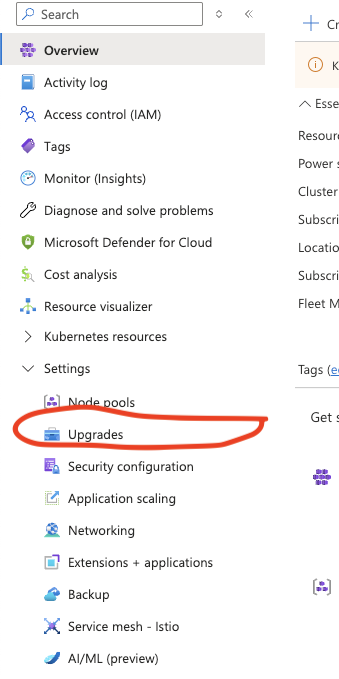 Upgrades item circled in the cluster's left-hand Settings menu
