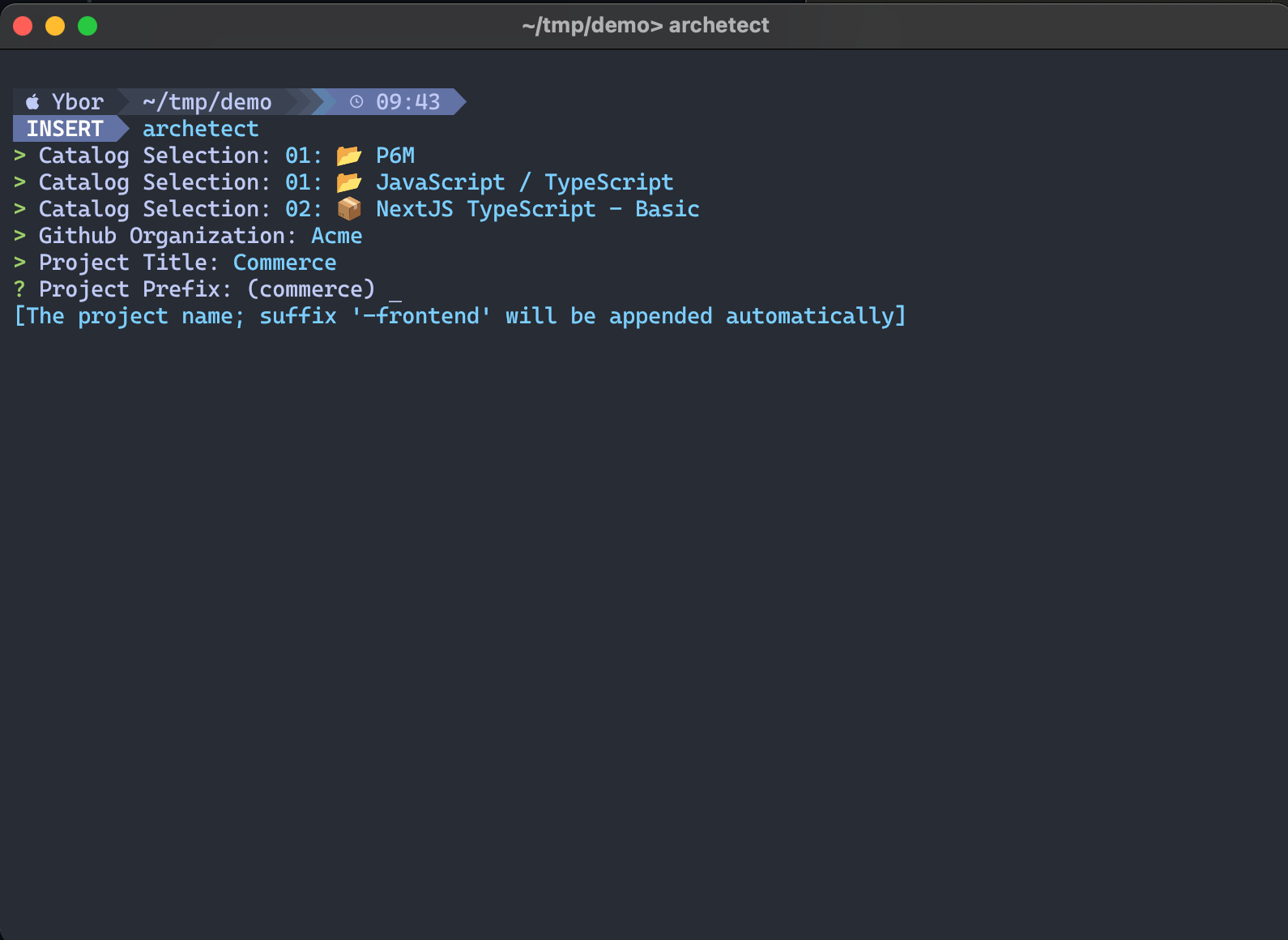 Configuration prompts for the selected archetype