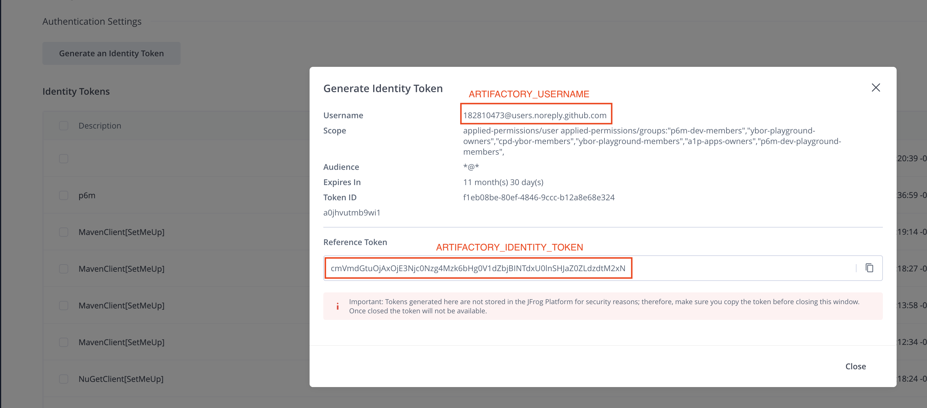JFrog Artifactory Identity Token Generated
